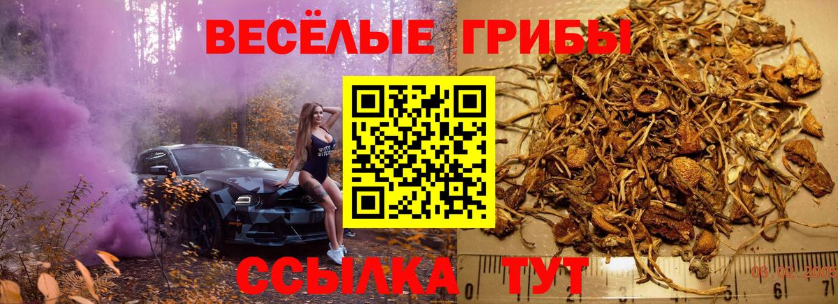 продажа наркотиков  Вход с VPN  Мытищи  Галлюциногенные грибы GOLDEN TEACHER 